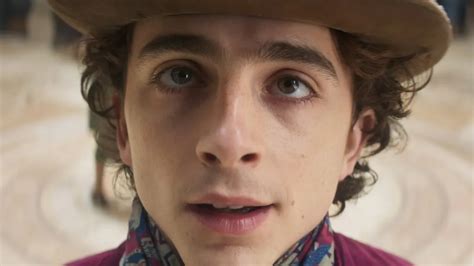 Wonka s Timothée Chalamet in Selfie Snub Scandal at Golden Globes