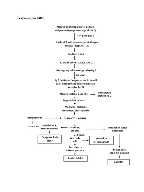 Pkdm Dermatitis Atopik Pdf