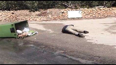 Extreme Activity Full Movie Free Hardcore HD Porn F7 XHamster