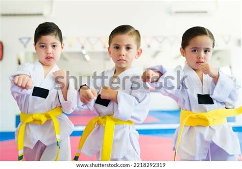 Portrait Beautiful Young Kids Fighting Doing Stock Photo 2218292319 ...