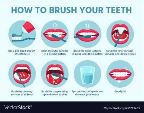 How to brush teeth oral hygiene correct tooth Vector Image