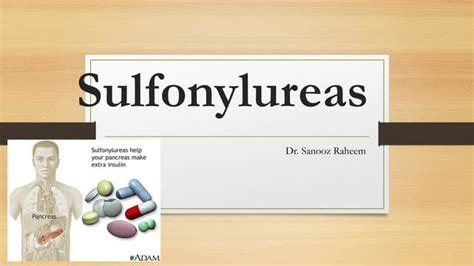 Sulfonylureas | PPT