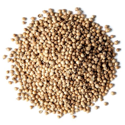 Coriander Seeds - Zabuys.com