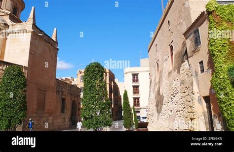 Basilica santa maria elche Stock Videos & Footage - HD and 4K Video Clips - Alamy