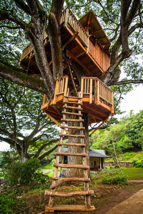 Explore Three Incredible Treehouses | The Treehouse Guys | DIY 