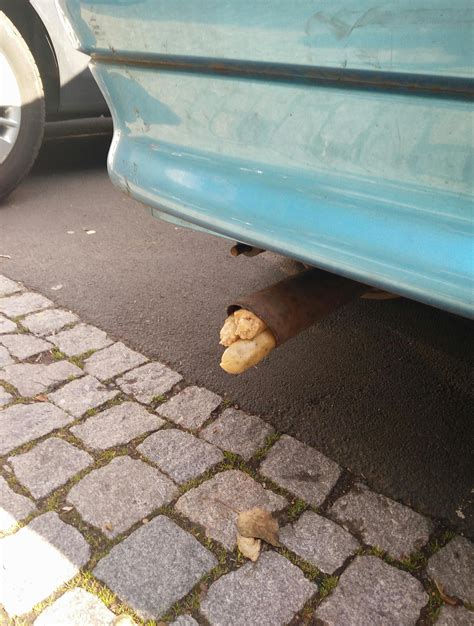 potato heating device ranormaldayinrussia