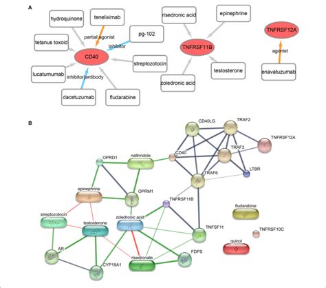 Drug Gene Interaction Network A The Drug Gene Interaction Network