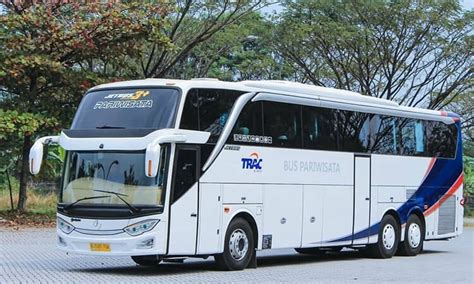 3 Jenis Bus Pariwisata yang Nyaman Digunakan untuk Liburan