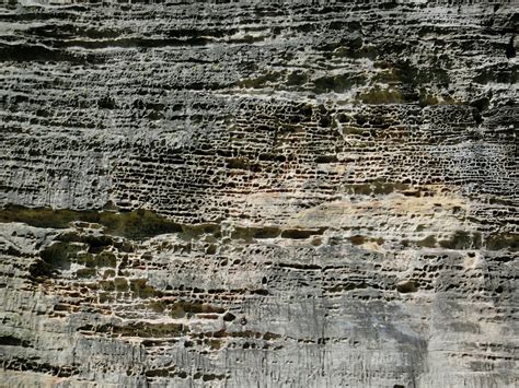 Free Images Nature Rock Structure Wood Texture Formation Stone