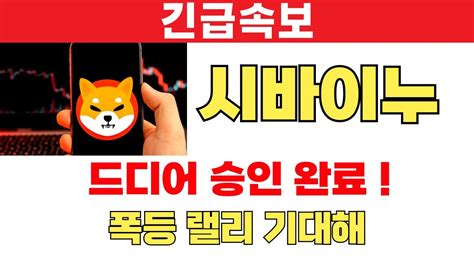 시바이누 코인 드디어 승인 완료 폭등 랠리 기대하세요 시바이누전망 시바이누분석 시바이누호재 시바이누대응