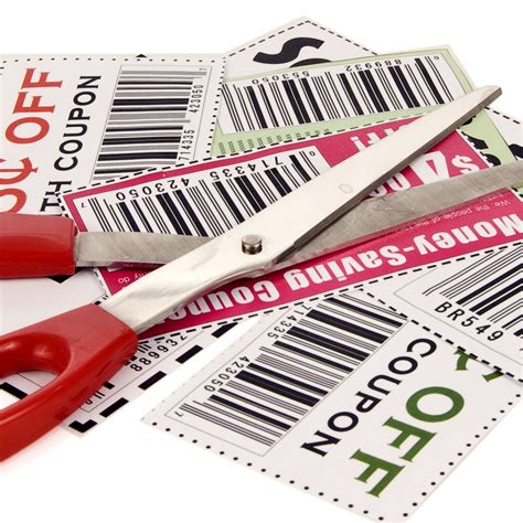 Saving Money Using Online Coupon Codes at HolistaPet & King Kanine