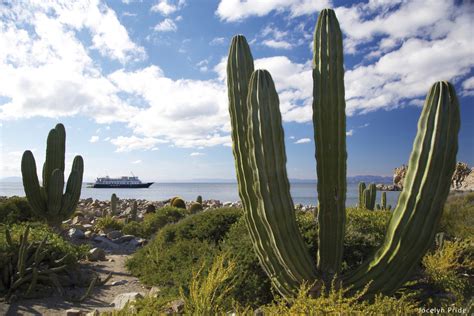 Baja California Mit Dem Mietwagen Ikarus Tours