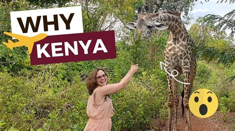 Why Should I Travel To Kenya 8 REASONS Why Kenya Is Your NEXT HOLIDAY