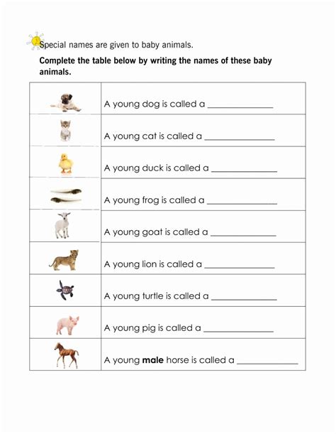 Baby Animal Names Worksheet Elegant Animals and their Young Interactive ...