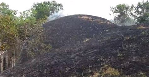 Capturan A Joven Que Provocó Incendio Que Destruyó Más De 50 Hectáreas