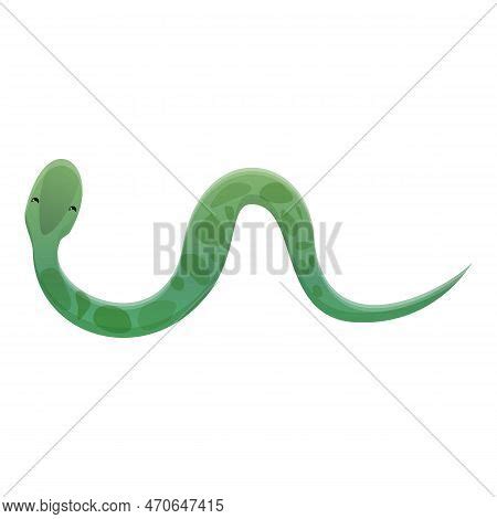 Top View Snake Icon. Image & Photo (Free Trial) | Bigstock