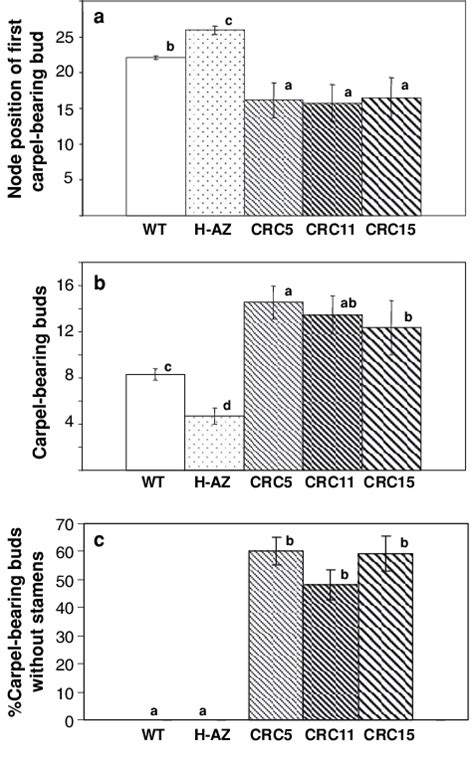 Sex Expression Patterns Along The Main Stem Of Crcetr1 1 T 1 Melon