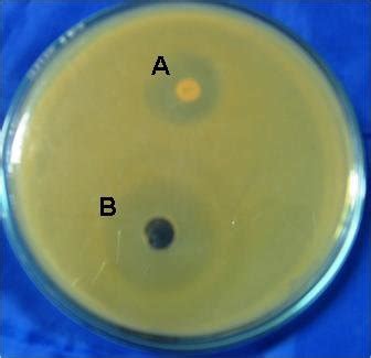 Antibacterial activity of manuka tree honey (HS3, 100%) against ... 