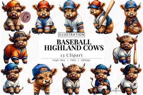 Watercolor Baseball Highland Cow Clipart By Christine Fleury