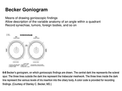 Classification Staging Grading In Ophthalmology