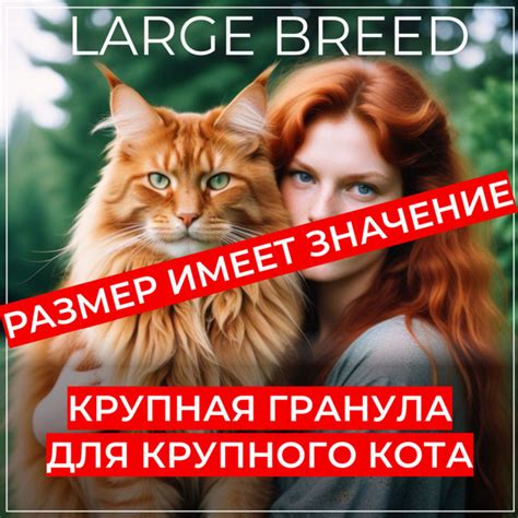 Сухой корм премиум класса для взрослых кошек и котов крупных пород ...