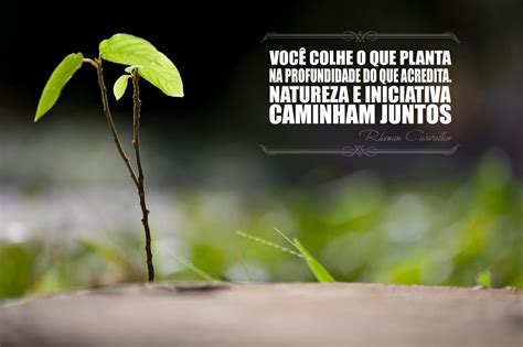 Você Colhe O Que Planta Reflexão - Vc Planta O Que Colhe - EDUCA