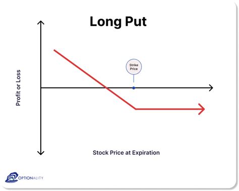 What Is A Put Option And How To Use Them With Examples Optionality