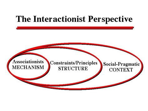 The Interactionist Perspective