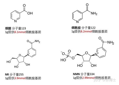 Nadh和nmn有什么区别，真的能坑衰老吗？ 知乎