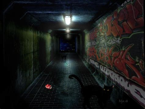 Black Cat Alley by stargazer101059 on DeviantArt