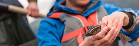 Home Page | Institute for the Oceans and Fisheries