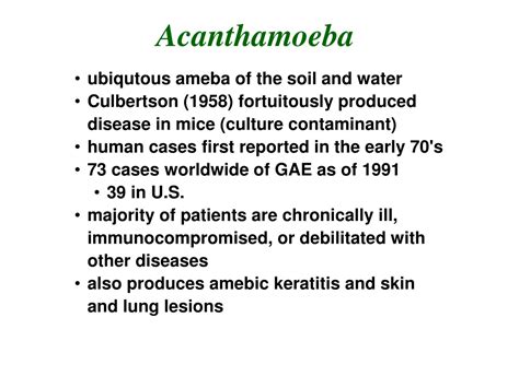 Ppt Naegleria Fowleri Primary Amebic Meningoencephalitis Pam Acanthamoeba Spp Powerpoint