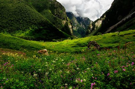 Le Parc National De La Vall E Des Fleurs Dans L Tat De Luttarakhand