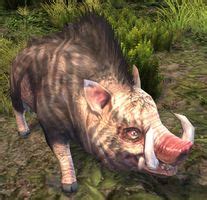 Veteran Warthog Guild Wars 2 Wiki GW2W