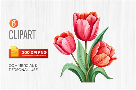 Watercolor Tulips Flowers Clipart Bundle Graphic By Crafticy Creative