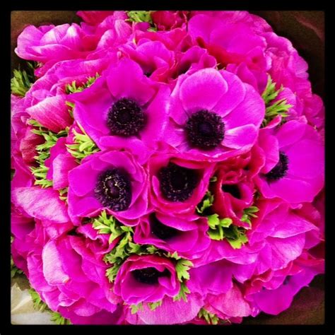 Hot Pink Anemone Bouquet Anemone Bouquet Wedding Time Wedding