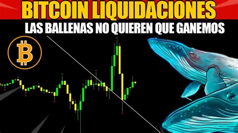 BITCOIN LIQUIDACIONES DESCARADAS PRONOSTICO BITCOIN HOY ESPAÑOL YouTube