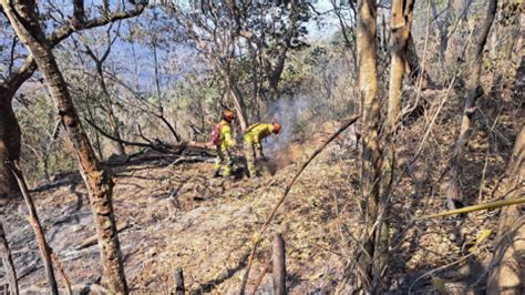 Devastador Incendio Forestal En Quilanga Per Enviar Aviones Y