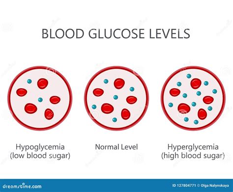 Blood Glucose Sugar Levels Stock Vector Illustration Of Biology