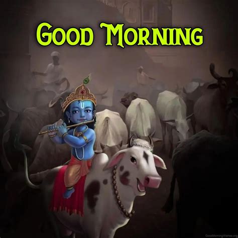 Krishna Good Morning Wishes