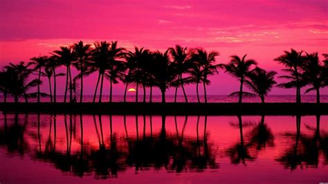 Miami Sunset Wallpapers - Wallpaper Cave