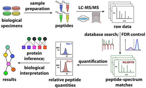 proteomics services advanced analysis solutions dalton bioanalytics
