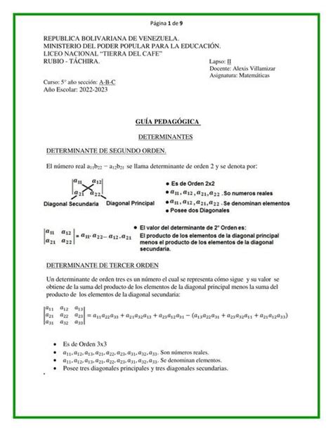 Todo Acerca De Las Matrices Danilux Tareas Y Trabajos Udocz