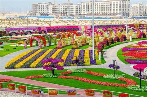 attraction  dubai  worlds biggest flower garden
