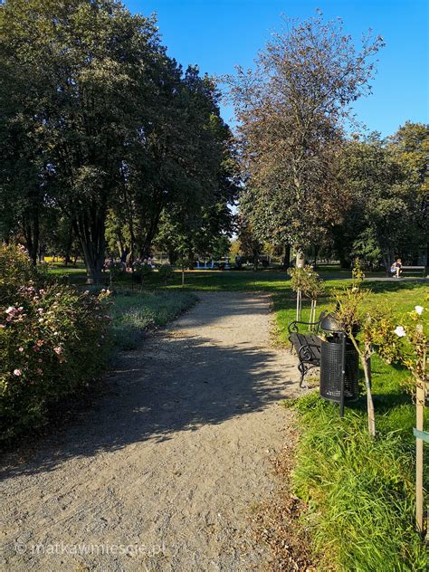 Park Wrocławski Zoo w Lubinie Matka w mieście