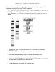 BIOL 1107L Lab 7 Mol App II Make Up Docx BIOL 1107L Lab 7 Molecular