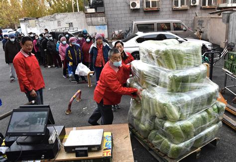 气温下降火了冬储大白菜，有市民早上6点多排队开抢 云南 海南 大白菜 新浪新闻