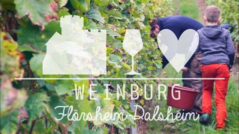 Weingut Obenauer Weinburg Flörsheim Dalsheim 2021 YouTube