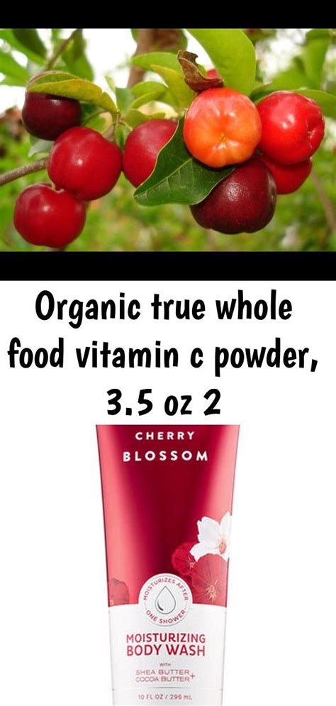 Organic True Whole Food Vitamin C Powder 3 5 Oz 2 Whole Food