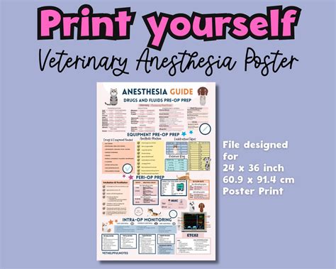 Printable Veterinary Anesthesia Poster Digital Vet Tech Anesthesia